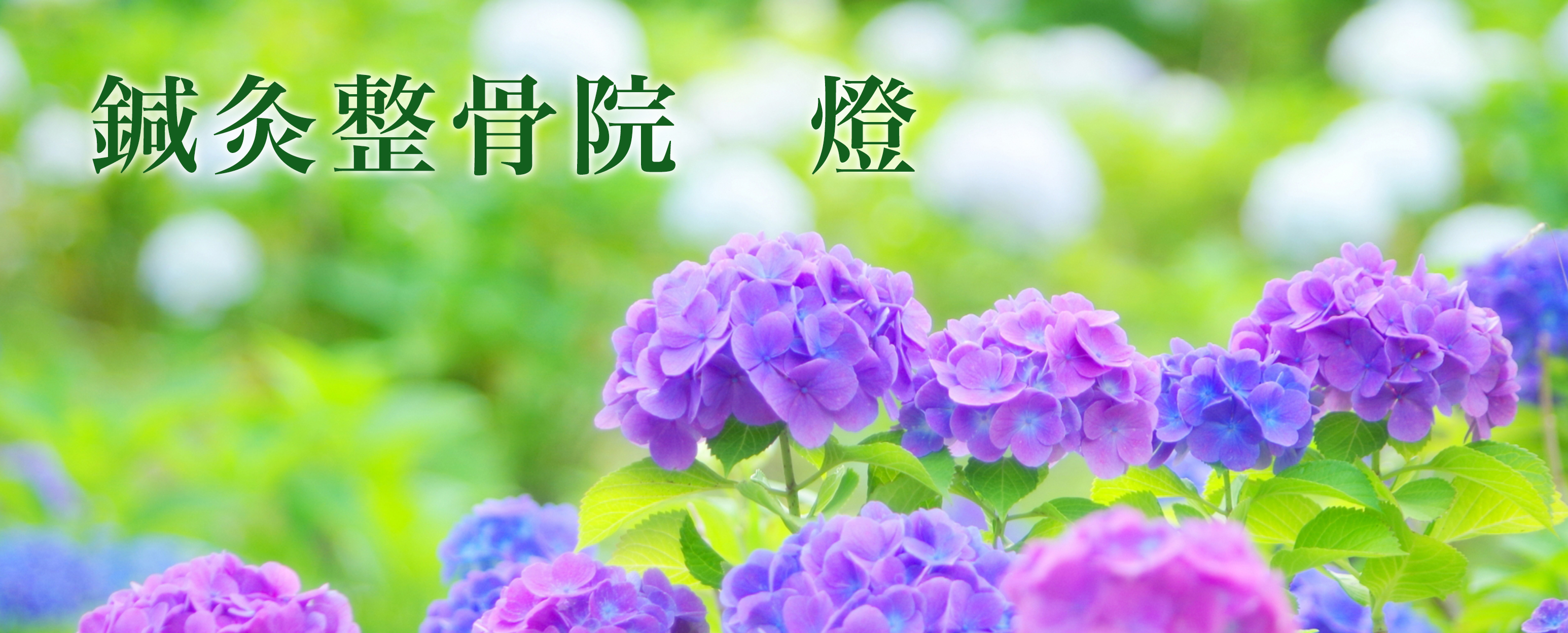 鍼灸整骨院　燈